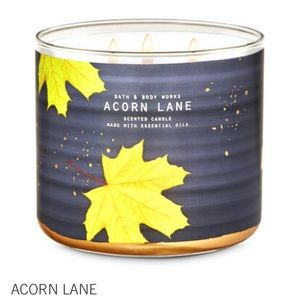 🕯🔥 6 B&BW Acorn Lane Candle Melts